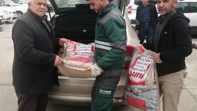 Kocasinan 6 ton yeşil mercimek tohumu dağıtıyor