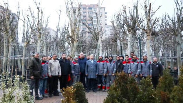 Başkan Palancıoğlu, 'Fidan değil ağaç dikiyoruz'