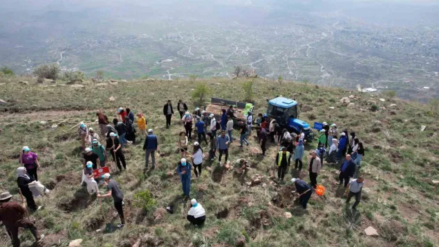 Başkan Yalçın, üniversitelilerle Ali Dağı zirvesine ağaç dikti