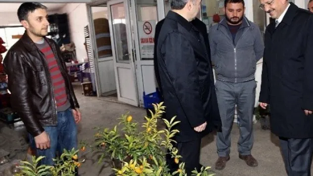 Başkan Özhaseki, Meyve Ve Sebze Halini Ziyaret Etti 