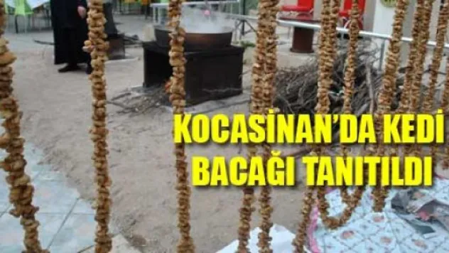 Başkanlar Kedibacağı Yaptı