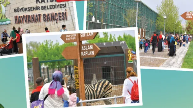 Bayramda Hayvanat Bahçesi'ne Yoğun İlgi: 65 Bin Ziyaretçi