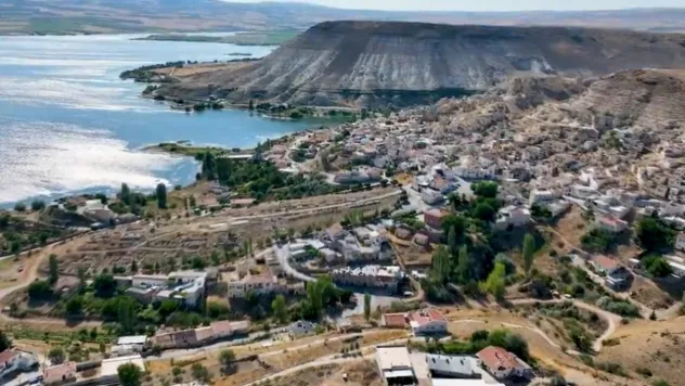 Bayramhacı'da ağaçlandırma çalışmaları sürüyor