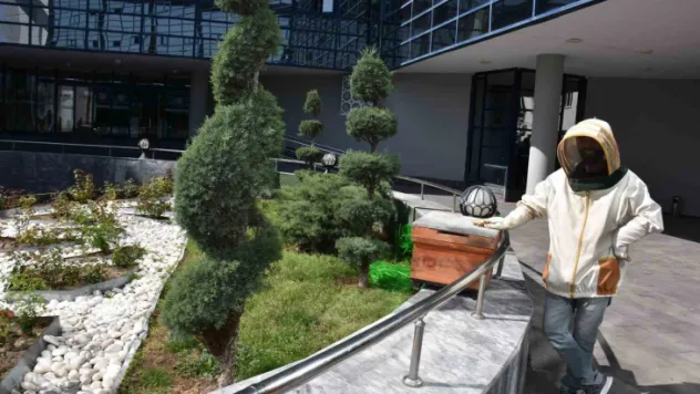 Belediyenin bahçesine konan oğul paniğe yol açtı