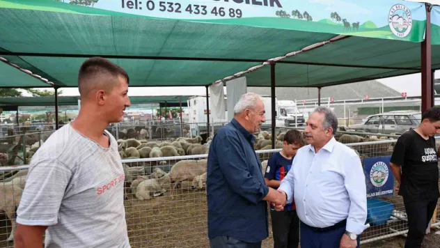 Besiciler Başkan Yalçın'a teşekkür etti: 'Bu konfor İstanbul'da yok'