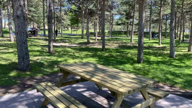 30 yıllık Mesire Alanı yenileniyor