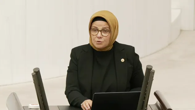 Böhürler: 'Bugüne kadar BM kürsüsünden dünyaya çağrı yapan bir Türkiye Cumhurbaşkanı gördünüz mü?'