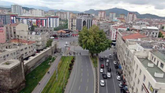 Bu çınar 350 yaşında mı?