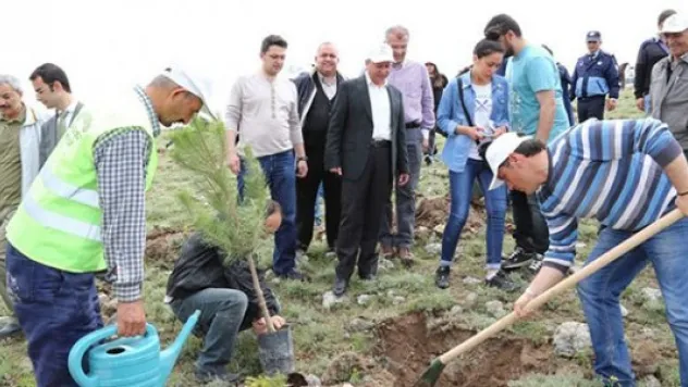 Buğdaylı Ormanı'na ilk fidanı dikildi
