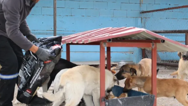 Bünyan'da 'Sokak Hayvanları Doğal Yaşam Alanı' hizmete açıldı