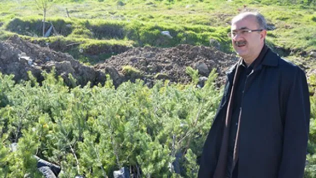 Bünyan Belediyesi 16 bin 400 ücretsiz fidan dağıttı