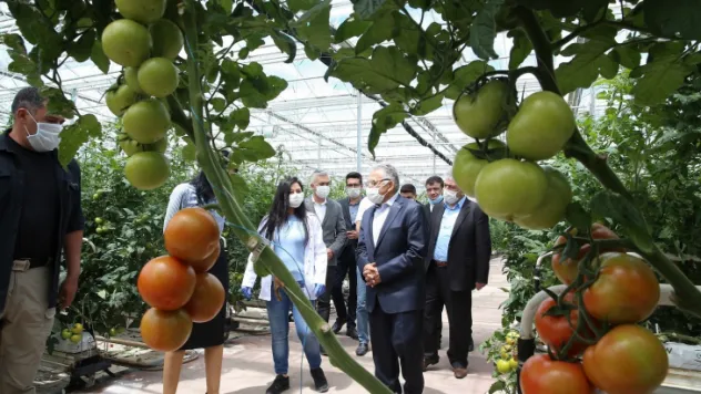 Büyükşehir, 1 yılda 13 milyon kilogram evsel atığı bertaraf etti