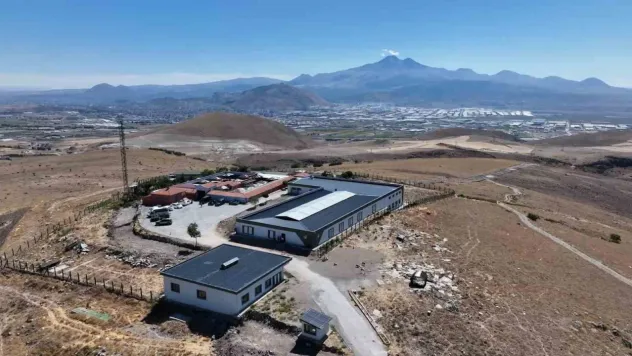 Büyükşehir 25 bin sokak hayvanı barındırıyor