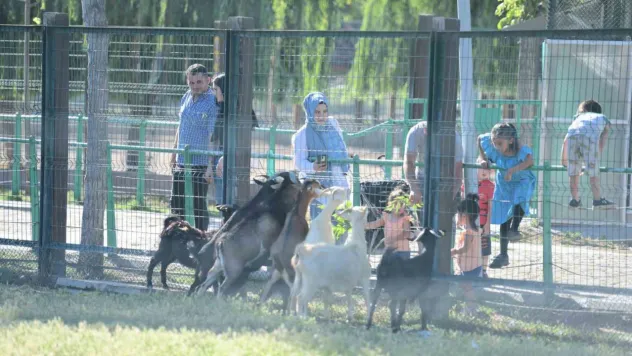 Hayvanat Bahçesi'ne bayramda ziyaretçi akını