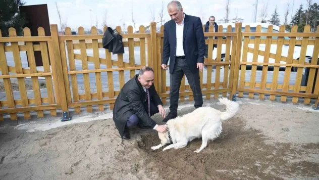 Köpek eğitim parkuru Millet Bahçesi'nde hizmete hazır
