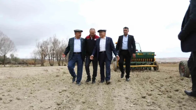 600 dekar alan 6 ayda yeşile büründü