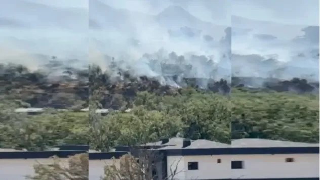 Çay Bağları'nda çıkan yangın kontrol altına alındı