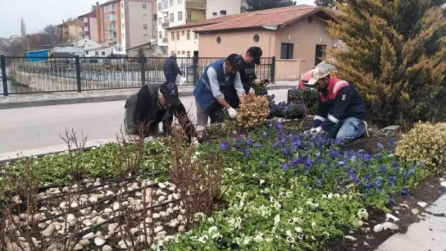 Çiçeklerle donatılan Bünyan, rengarenk oldu