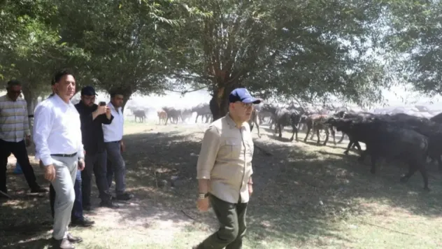 Cıngı: 'Kayseri mozarellası diye bir tabir duyarsanız şaşırmayın'