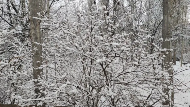 Develi'de kar yağışı etkili oluyor