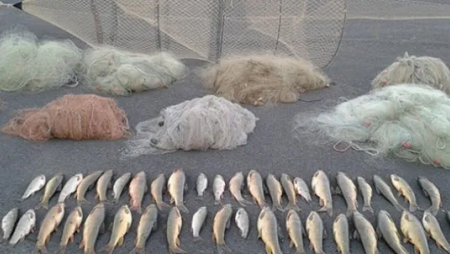 Develi'de kaçak balık avlayan bir kişi gözaltına alındı