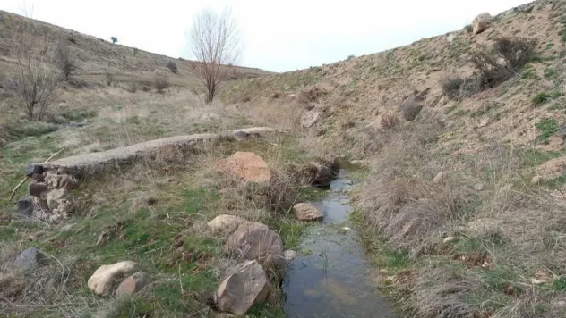 Develili bağcılardan Vali'ye mektup