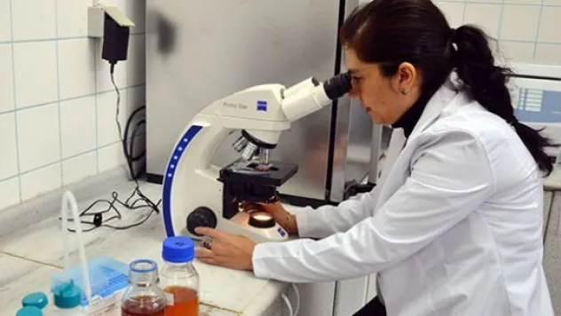 Diyabet hastaları, doktor kontrolünde bal yiyebilecek