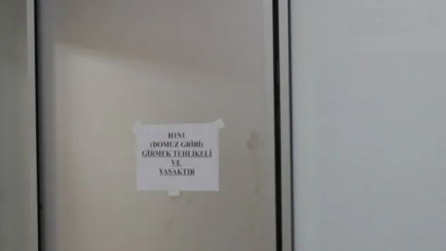 Domuz gribine karşı önlem arttırıldı