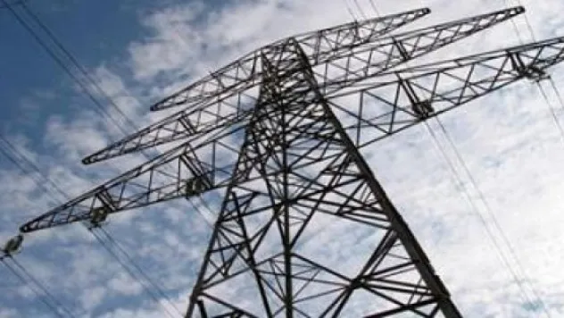 Elektrik akımına kapılan iki hayvan telef oldu