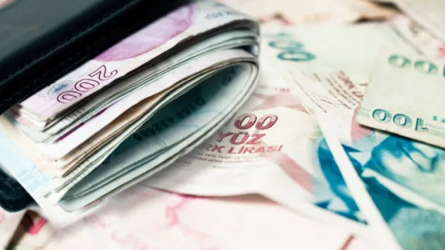 Engelli ve eski hükümlü hibe destekleri artırıldı