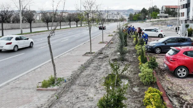 Erkilet Bulvarı'nda Yoğun Ağaçlandırma Çalışmaları