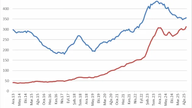 Evcil Hayvan Maması İthalatı, İşlemciyi Geride Bıraktı: Türkiye'nin Ekonomik Öncelikleri Tartışılıyor