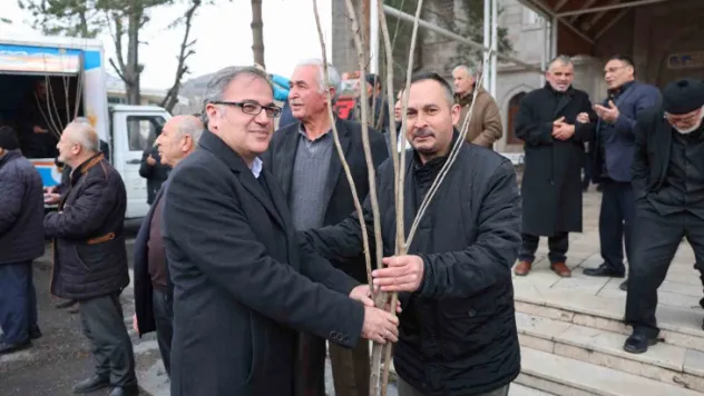 Fidan belediyeden meyve vatandaştan