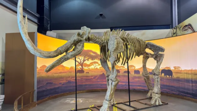 Geçmişten Geleceğe İki Önemli Sergi Bilim Merkezi'nde Açıldı