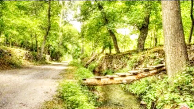 Gençler için Tarih ve Doğa Gezisi