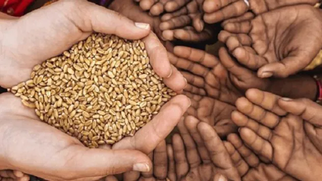 'Gıdaya erişim bir adalet meselesi'