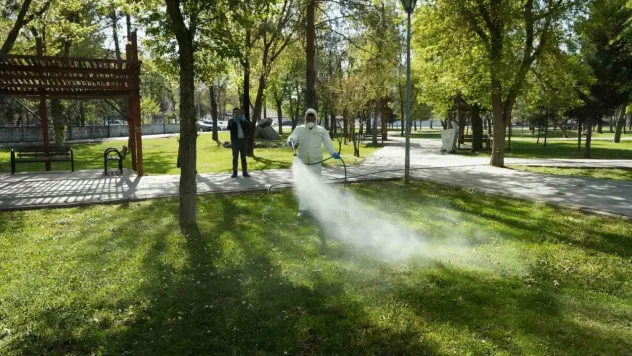 İlaçlama çalışmaları  devam ediyor