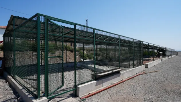 Hayvan Sevgisi Doğal Yaşam Alanlarında Mümkündür