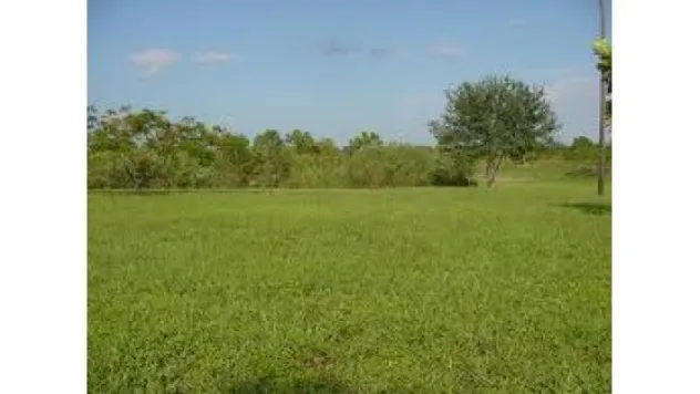 Hazine arazilerinin satışında son fırsat günleri