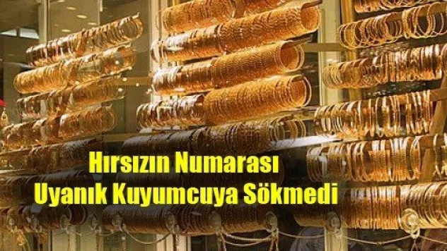 Hırsızın Numarası Uyanık Kuyumcuya Sökmedi