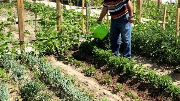 Hobi Bahçeleri 415 Bin m2'ye Ulaştı