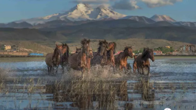 Hürmetçi Sazlığı, Türkiye'nin gözde turizm mekanı olacak