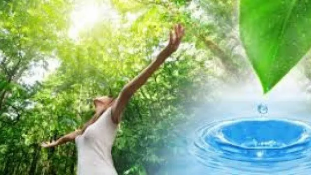 İstatistiklerle Çevre