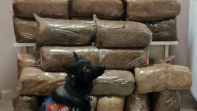 Jandarma ekipleri 228 kilogram bandrolsüz tütün ele geçirdi