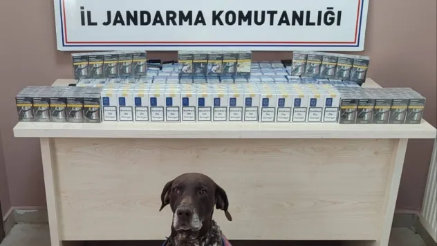 Jandarma ekipleri 640 paket bandrolsüz sigara ele geçirdi