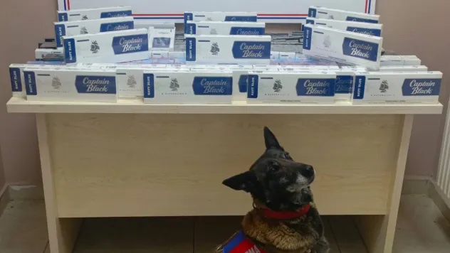 Jandarma ekipleri 830 paket kaçak sigara ele geçirdi