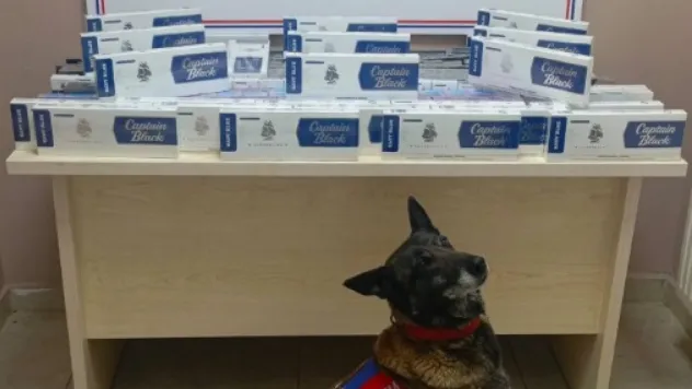 Jandarma yol kontrolünde bin 400 paket kaçak sigara ele geçirdi
