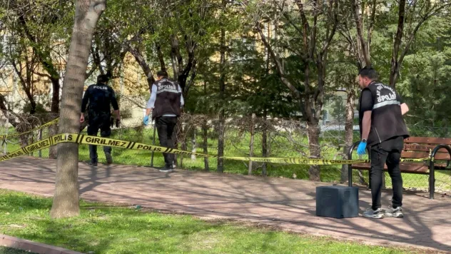 Kadın tarafından parkta vurulan şahıs hafif yaralandı