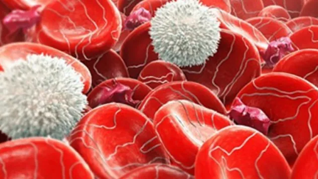 Kan uyuşmazlığına dikkat!