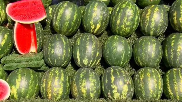 Karpuz tezgahlarda yerini aldı: Kg 10 TL
